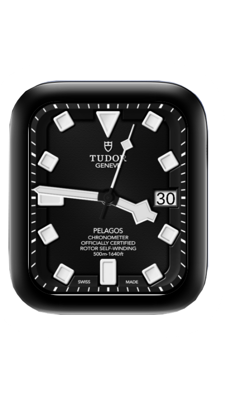 帝舵表(Tudor)表盘