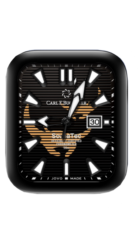 宝齐莱Carlebucherer表盘