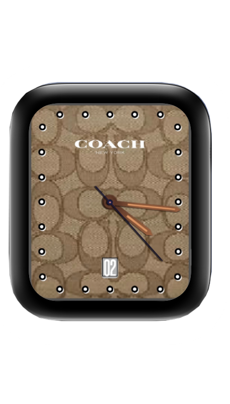 COACH(蔻驰)表盘
