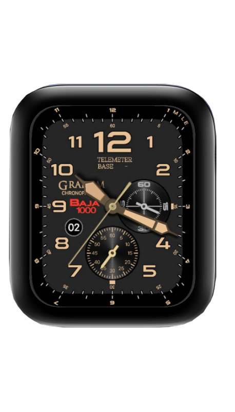 TELEMETER荣汉斯表盘