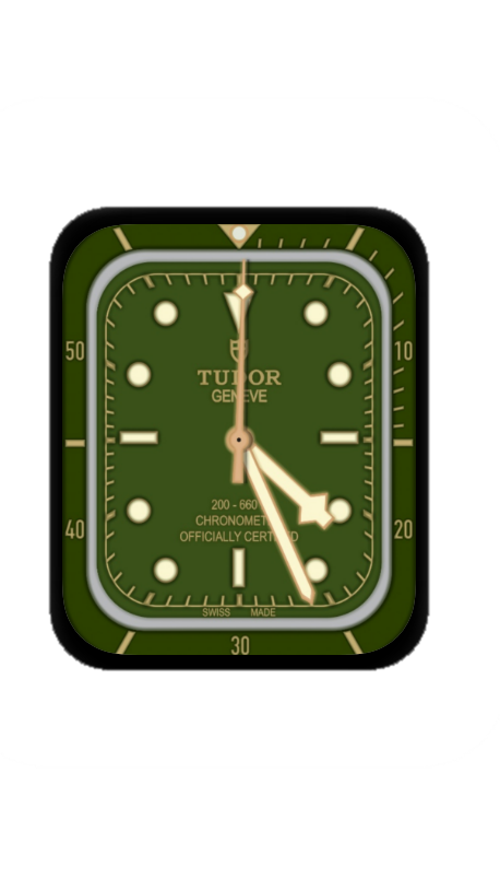 绿色帝舵表(Tudor) 指针表盘