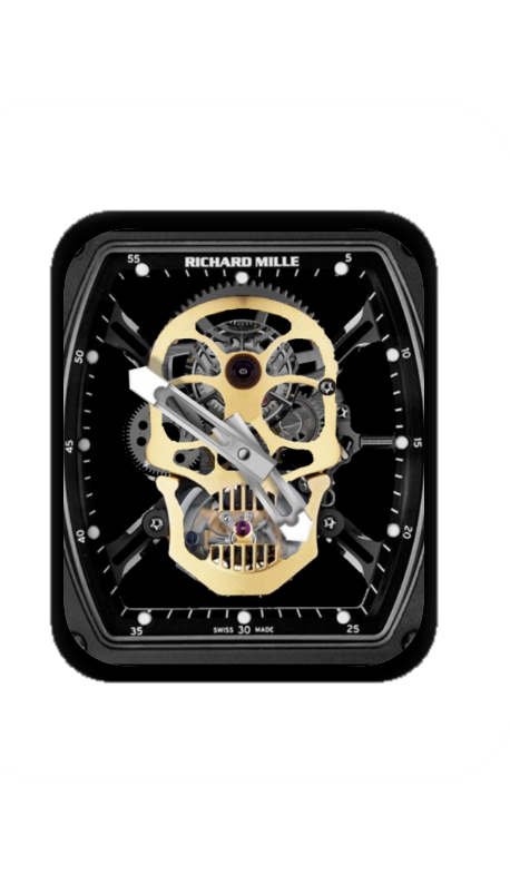 理查德米勒(RICHARD MILLE)镂空机械指针表盘