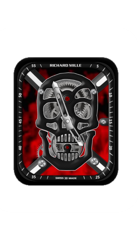 理查德米勒(RICHARD MILLE)镂空机械指针表盘