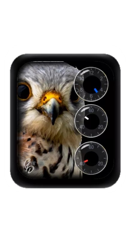 动物老鹰数字表盘