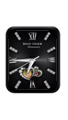 REEF TIGER瑞夫泰格指针黑色表盘