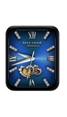 REEF TIGER瑞夫泰格指针蓝色表盘