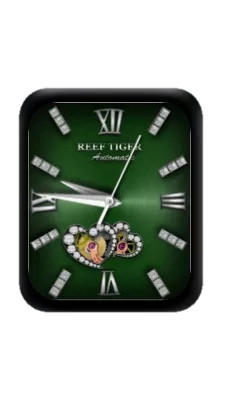 REEF TIGER瑞夫泰格指针绿色表盘