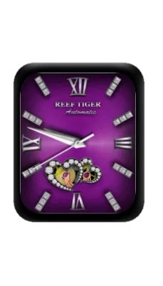 REEF TIGER瑞夫泰格指针紫色表盘