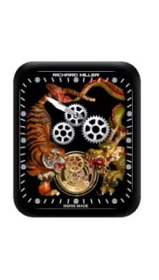 RICHARD MILLER理查德米勒龙虎动态指针表盘