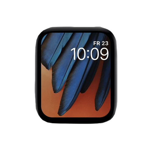 Orange & Blue Feathers