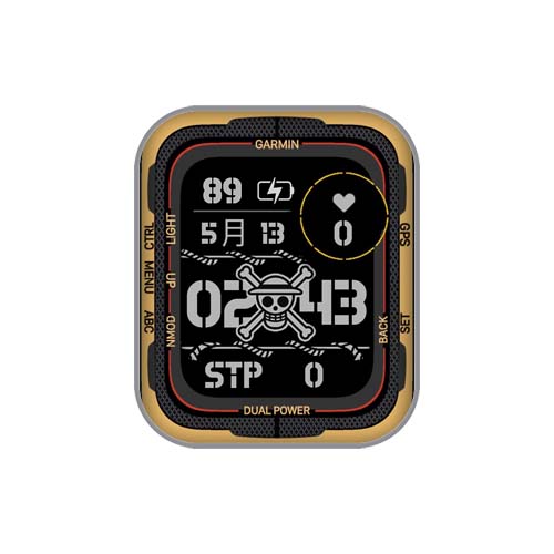 Garmin佳明海贼王数字心率表盘