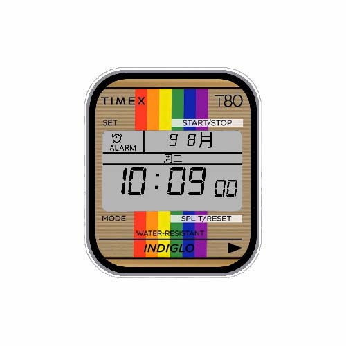 TIMEX天美时数字表盘