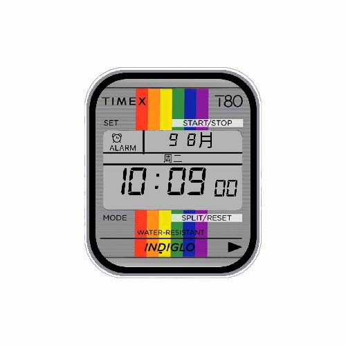 TIMEX天美时数字表盘