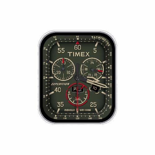 TIMEX天美时数字指针表盘