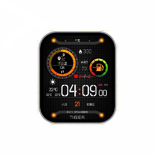 数字心率运动表盘