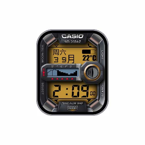 CASIO卡西欧数字温度运动表盘