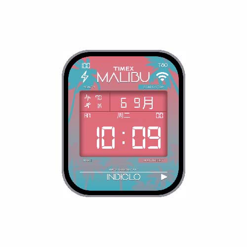 TIMEX天美时数字心率运动表盘