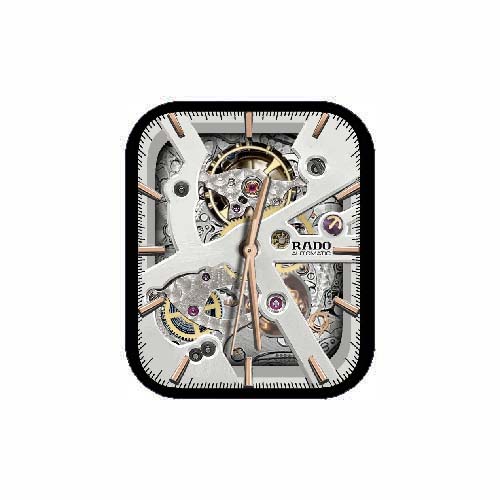 RADO瑞士雷达简约指针表盘