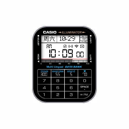 CASIO卡西欧数字心率表盘