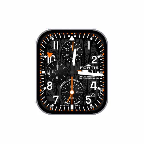 FORTIS富利斯数字指针表盘