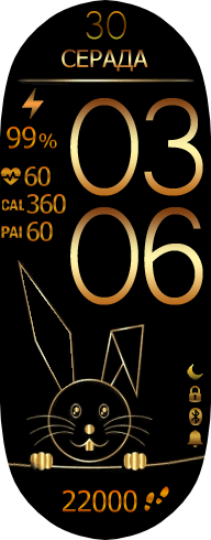 Xiaomi Smart Band 7 手表表盘