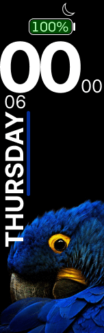 Xiaomi Mi Band 6 手表表盘