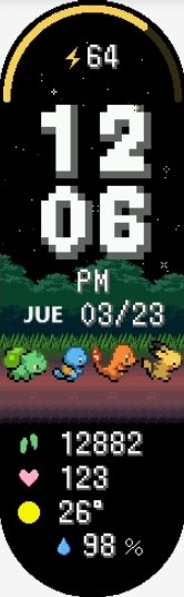 Xiaomi Mi Band 6 手表表盘