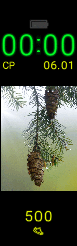 Xiaomi Mi Band 6 手表表盘