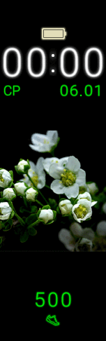 Xiaomi Mi Band 6 手表表盘