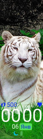 Xiaomi Mi Band 6 手表表盘