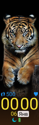 Xiaomi Mi Band 6 手表表盘