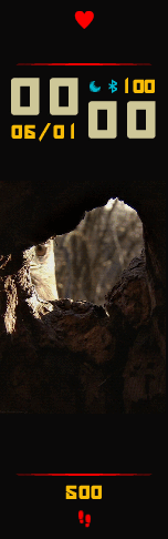 Xiaomi Mi Band 6 手表表盘