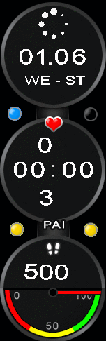 Xiaomi Mi Band 6 手表表盘