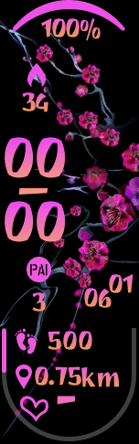 Xiaomi Mi Band 6 手表表盘