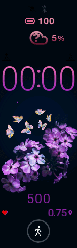 Xiaomi Mi Band 6 手表表盘