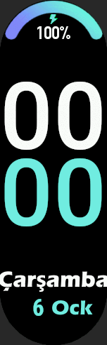 Xiaomi Mi Band 6 手表表盘