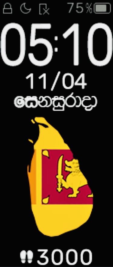 小米 Xiaomi Mi Band 5 手表表盘