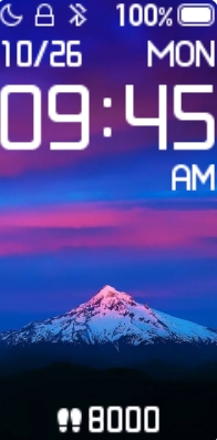 Xiaomi Mi Band 4 手表表盘