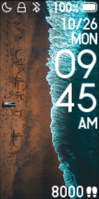 Xiaomi Mi Band 4 手表表盘