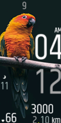 Xiaomi Mi Band 4 手表表盘