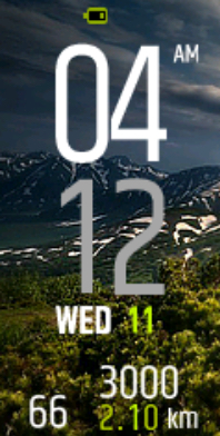 Xiaomi Mi Band 4 手表表盘