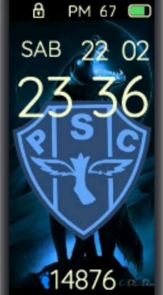 Xiaomi Mi Band 4 手表表盘