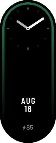 Xiaomi Smart Band 8 手表表盘