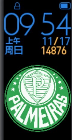 Xiaomi Mi Band 4 手表表盘