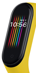 Xiaomi Mi Band 4 手表表盘