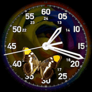 华为Huawei Watch GT/GT 2 46mm GT / GT 2 46mm手表表盘