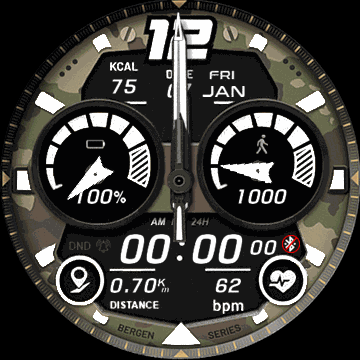 华米跃我Amazfit Verge Lite手表表盘