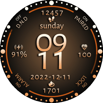 华米跃我Amazfit Verge Lite手表表盘