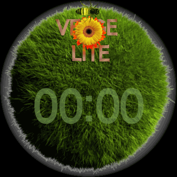 华米跃我Amazfit Verge Lite手表表盘