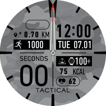 华米跃我Amazfit Verge Lite手表表盘